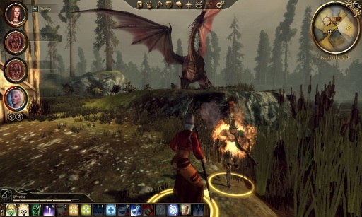 Dragon Age: Origins, Playthrough